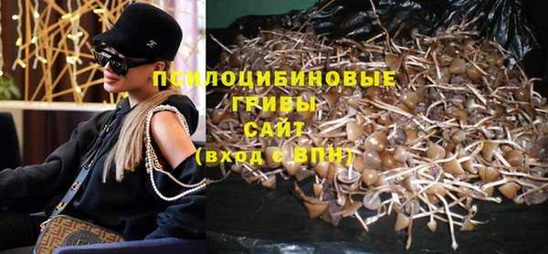 Альфа ПВП Алексеевка