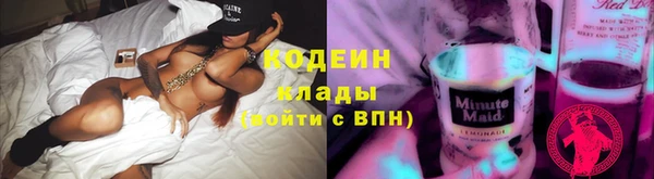 дурь Алексин
