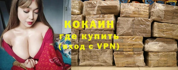 мдпв Новозыбков