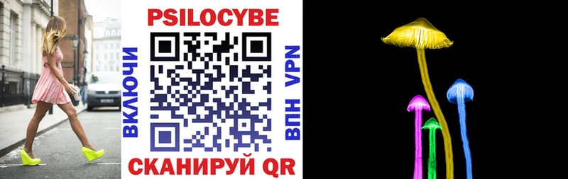 блэк спрут ССЫЛКА  Междуреченск  Галлюциногенные грибы Cubensis 